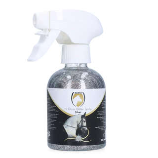 Hi Gloss Glitter Spray - Silver